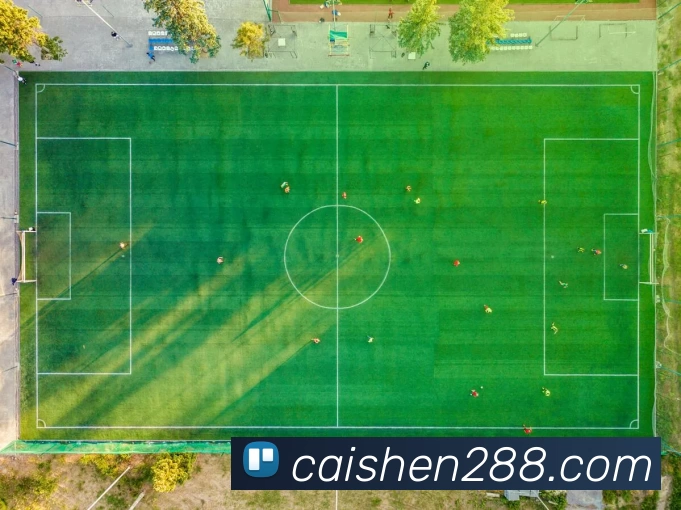 多媒体互动体验